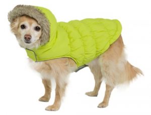 Friends Forever Dog Outwear Apparel