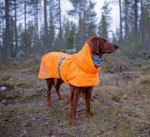 hurtta extreme warmer dog coat