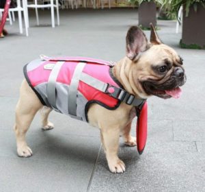 ichoue dog life jackets saver swimming vest