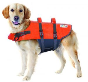 outward hound granby splash dog life jacket