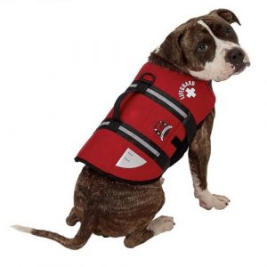 paws aboard dog life jacket vest for swimming