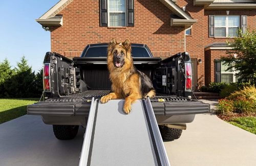pet steps for cars
