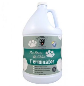 Professional Carpet Cleaners for Pet Urine