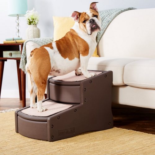 Bulldog standing on the Easy Step II Pet Stair by Pet Gear