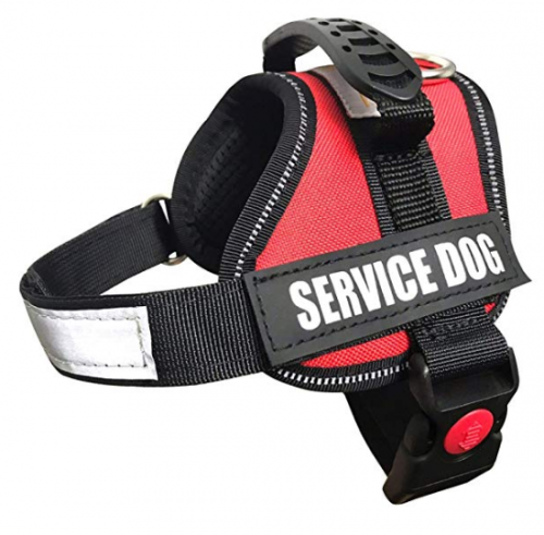 ALBCORP Service Vest and Harness for Dog