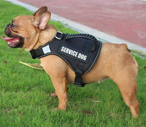 No Pull Service Dog Harness Vest