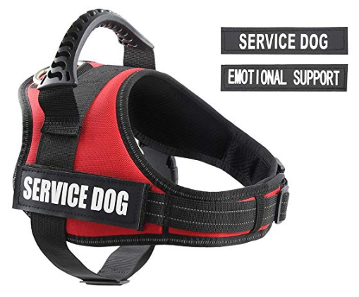 pawshoppie Service Vest for Dogs