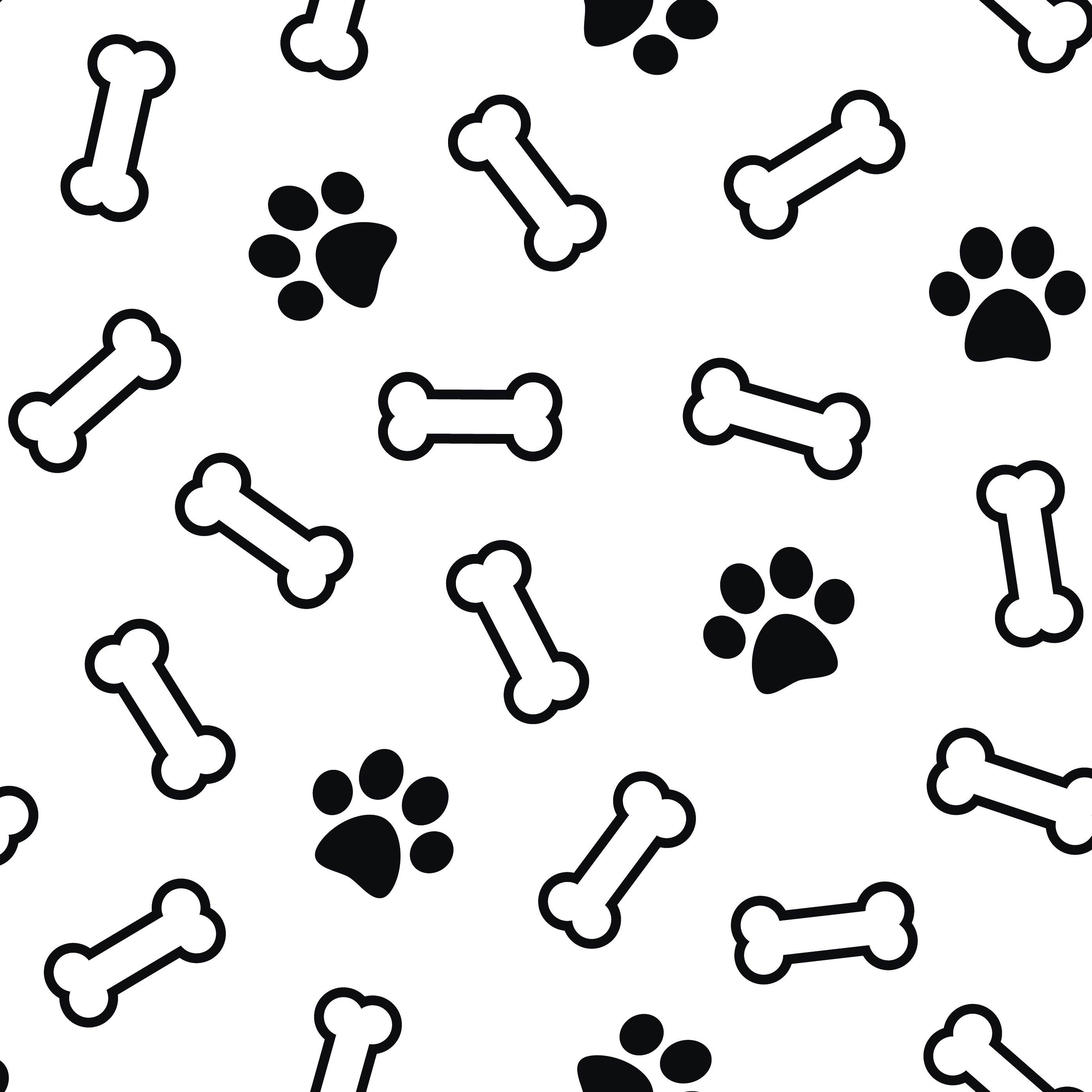 Paws And Bones Isolated On White