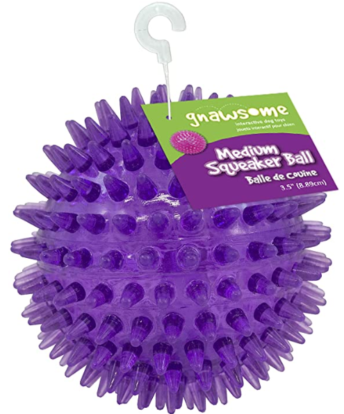 Gnawsome Medium Squeaker Ball Dog Toy