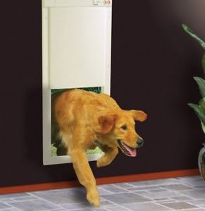 Dog runnign throgh the High Tech Pet Products PX-2 Power Pet Fully Automatic Pet Door