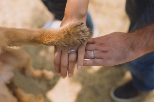 two person with rings on ring fingers and a dog paw