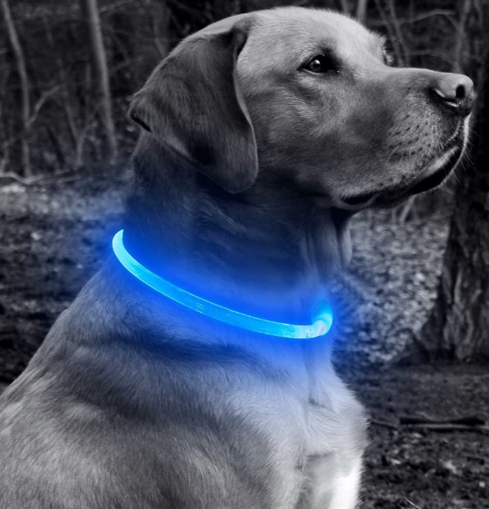 BSEEN LED Dog Collar, USB Rechargeable Glowing Pet Collar, TPU Cuttable Dog Safety Lights for Small Medium Large Dogs