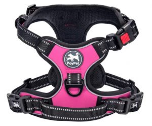 PoyPet No Pull Dog Harness