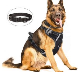 WINSEE Dog Harness No Pull, Pet Harnesses with Dog Collar