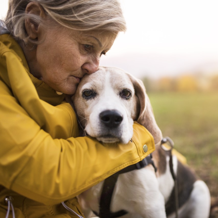 Best Dogs for Seniors - Dog Breeds for Older People