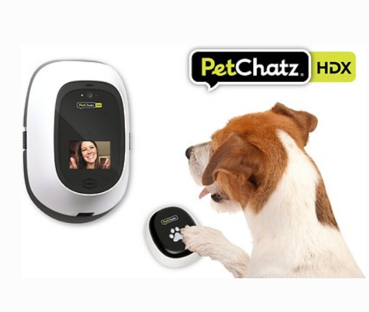 PetChatz HDX Dog Camera