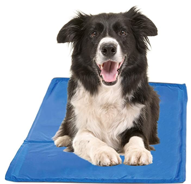 Chillz Cooling Mat For Dogs
