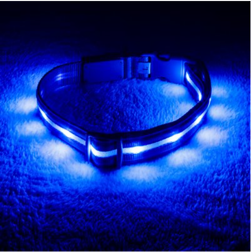 Blazin' Safety LED USB Rechargeable