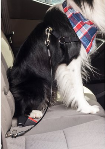 Leashboss Heavy Duty No-Chew Dog Car Restraint Seatbelt