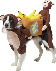 monkey dog costume