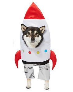 rocket dog costume